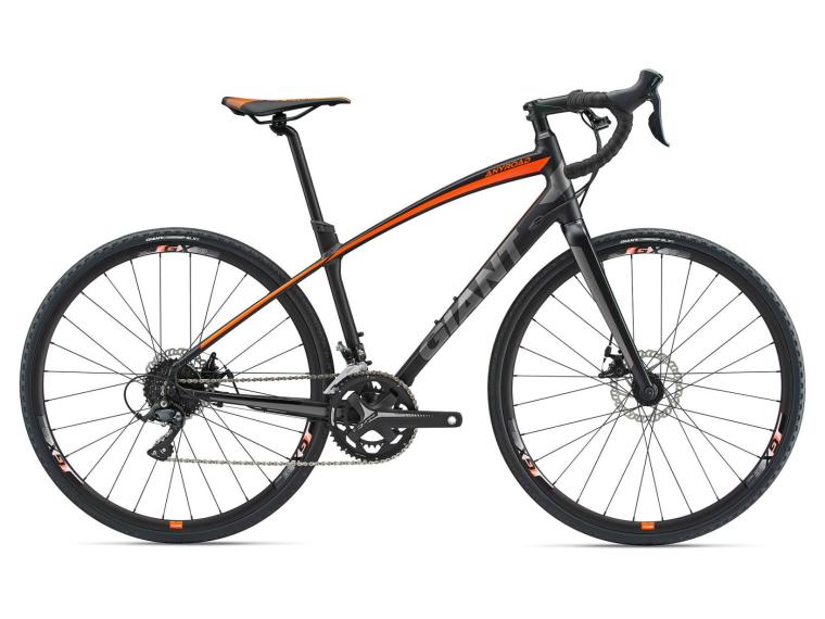 Giant Anyroad