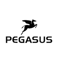 Pegasus