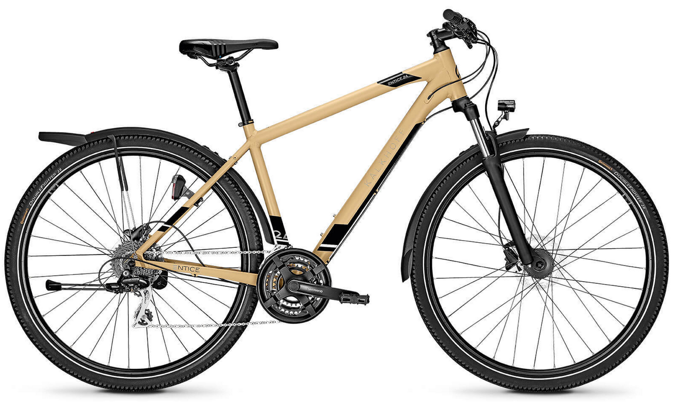 Kalkhoff Entice 24 2020