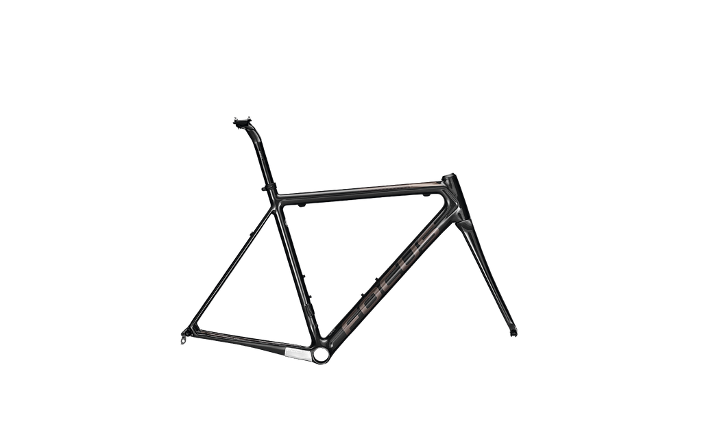 Focus Izalco Max 2014-2019
