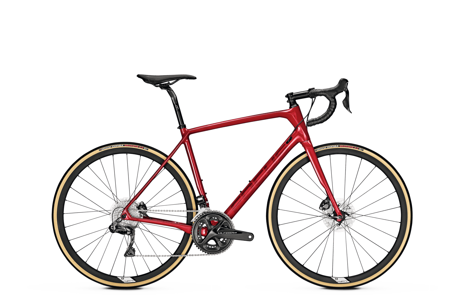 Focus PARALANE 8.7 2020