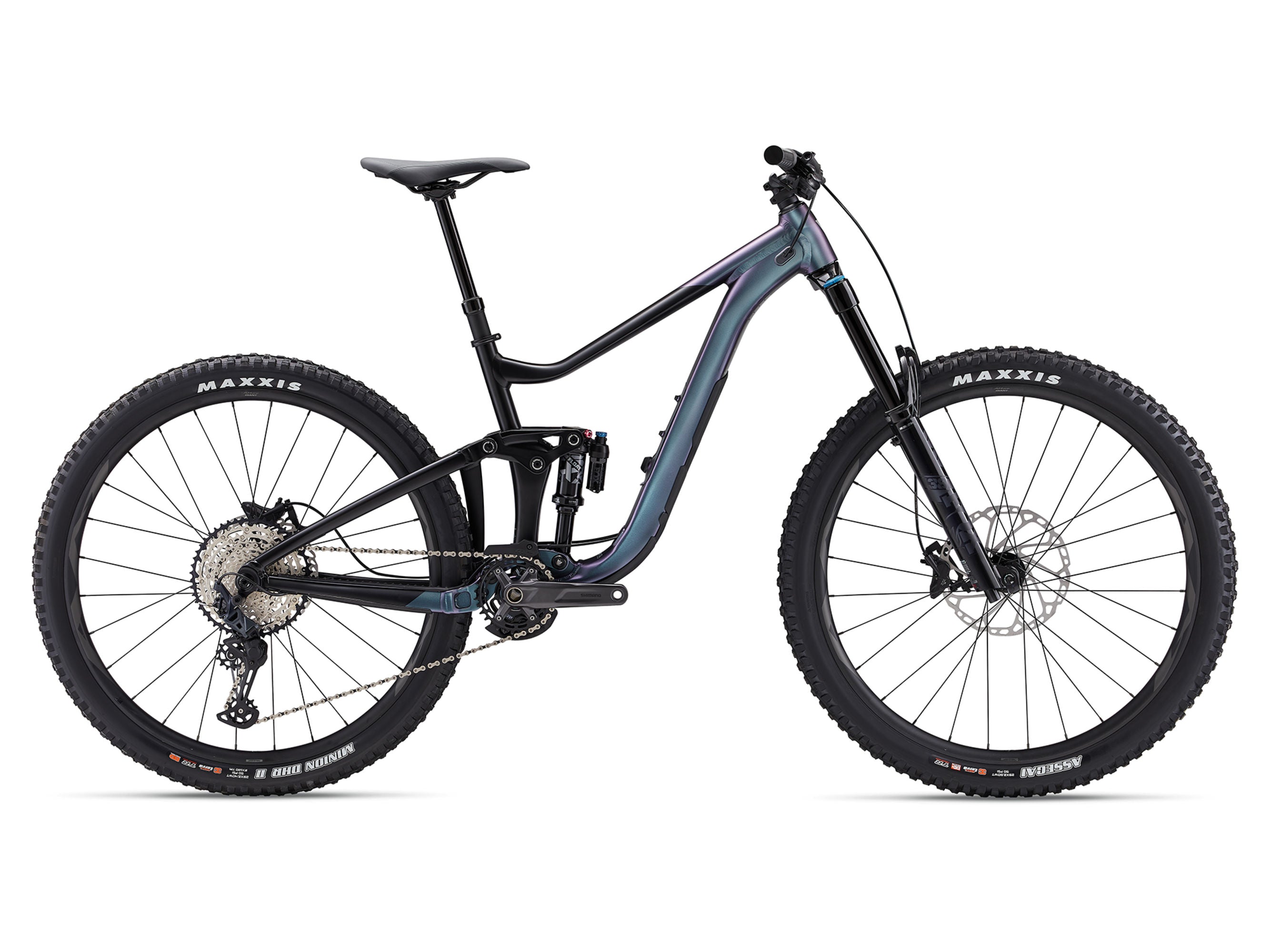 Giant Giant Reign 1 2025