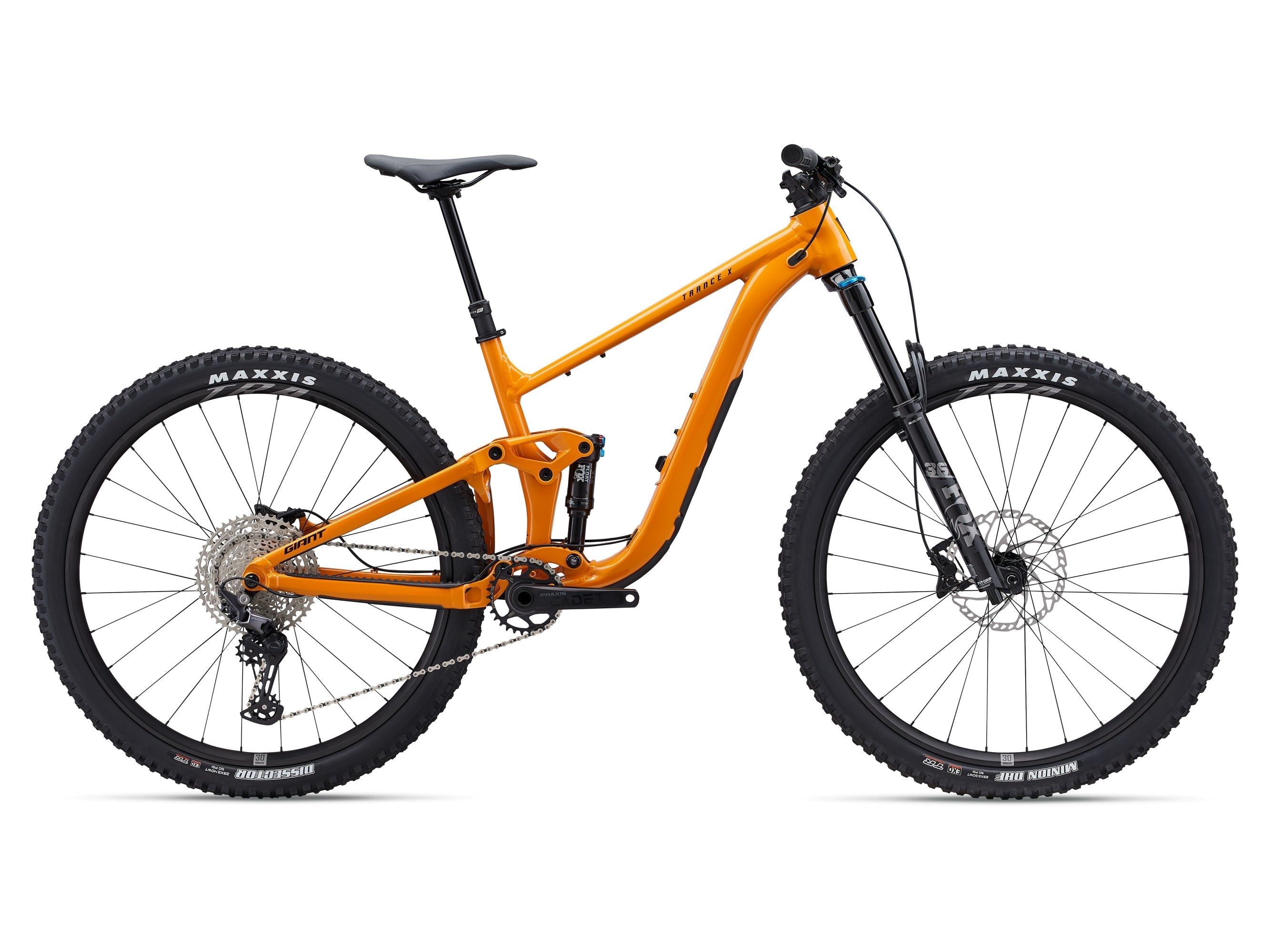 Giant Giant Trance X 1 2024