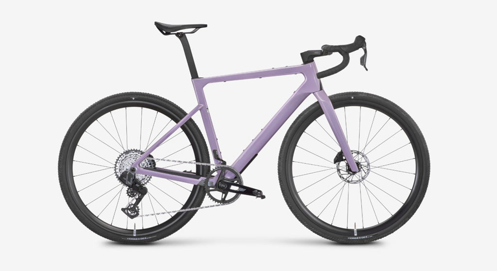 Rose Backroad FF 2025 - 2026