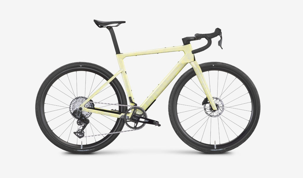 Rose Backroad FF 2025 - 2026