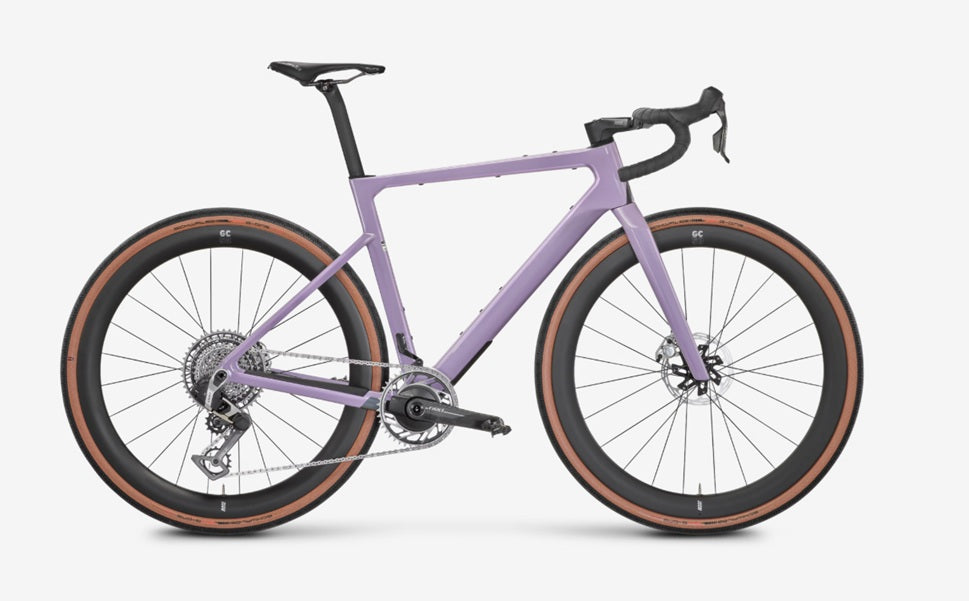Rose Backroad FF 2025 - 2026