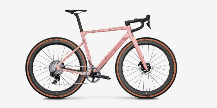 Rose Backroad FF 2024