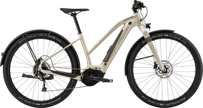 Cannondale Canvas Neo 2 2020-2021