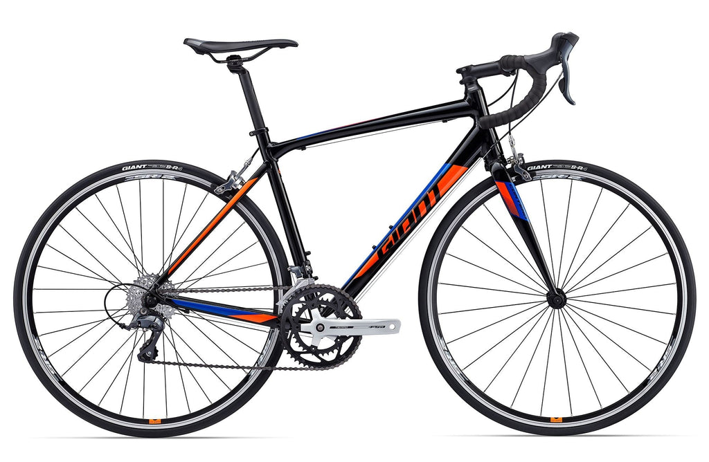 Giant Contend 1 2017