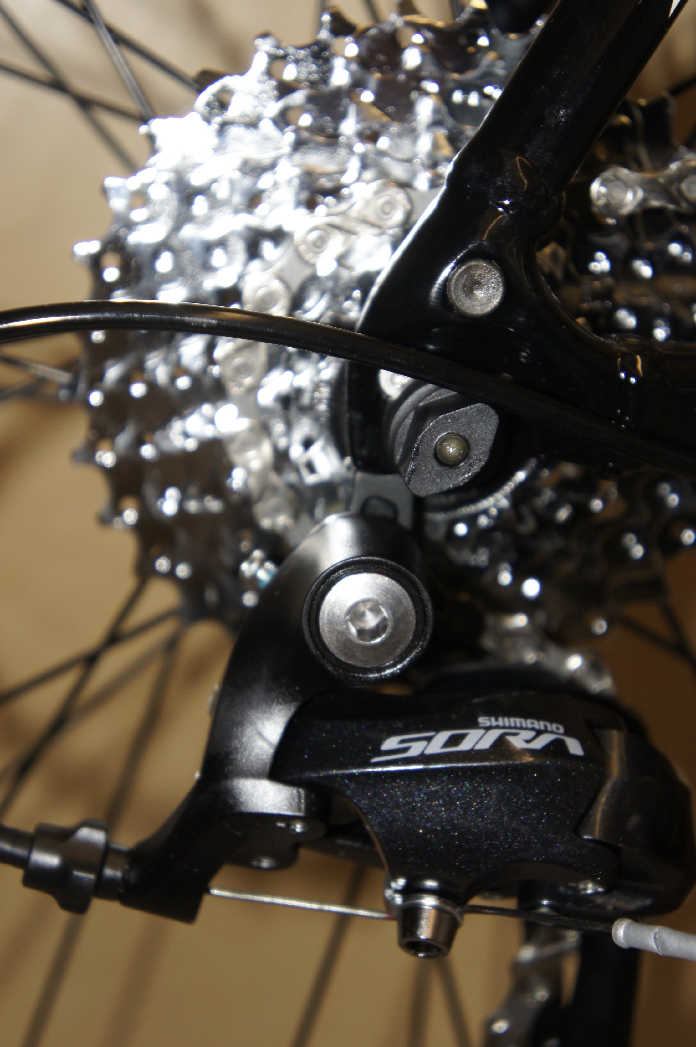 Giant Contend 1 2017