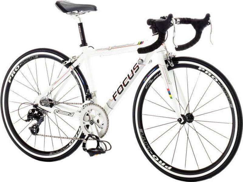 Focus Variado Rookie 24 "