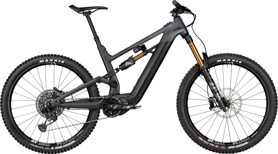 Canyon Torque:ON 8 2021