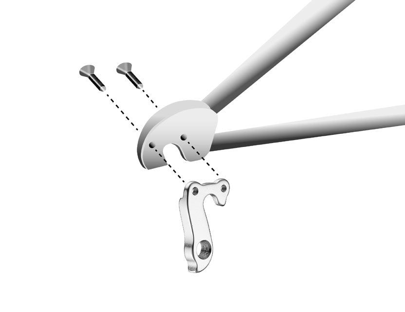 Ghost Race Lector SL threading in hanger 2009-2010