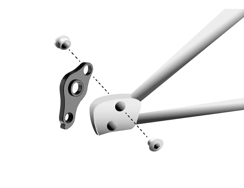 Focus verschiedene Modelle