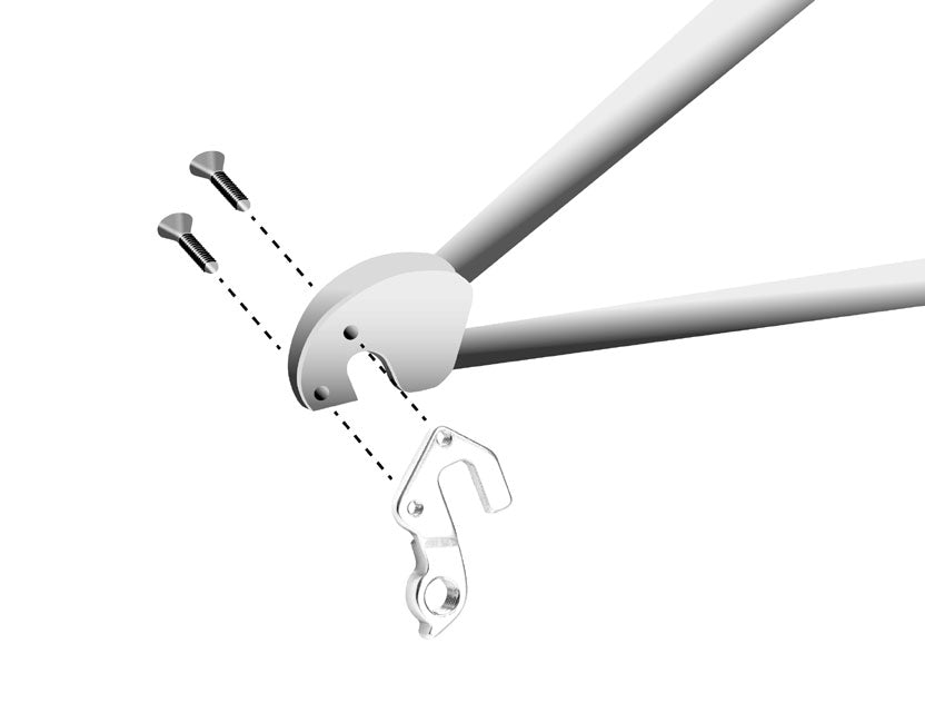 Focus verschiedene Modelle