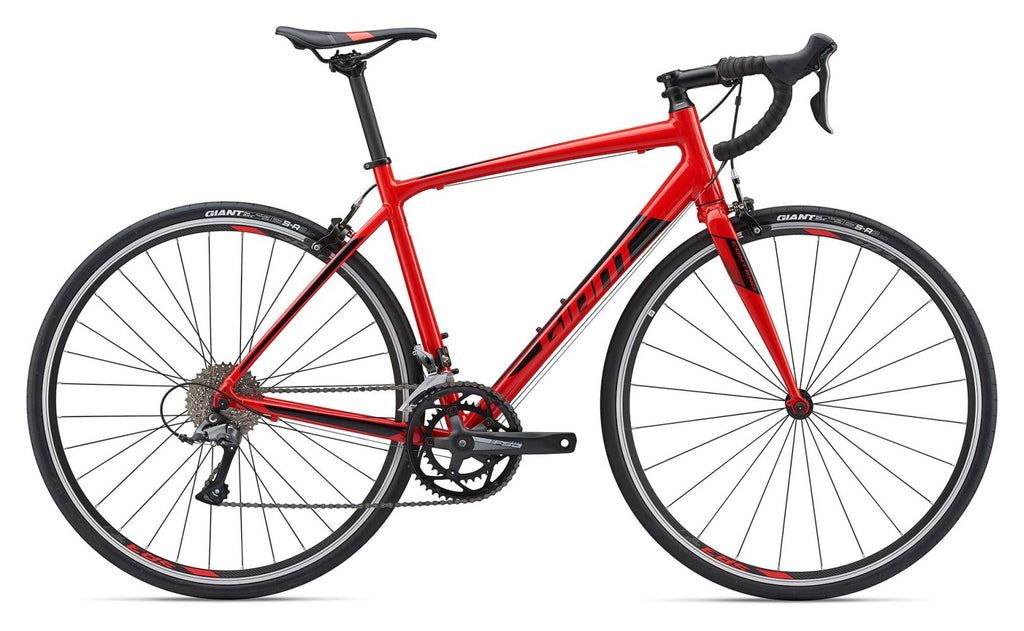 Giant Contend 1 2019