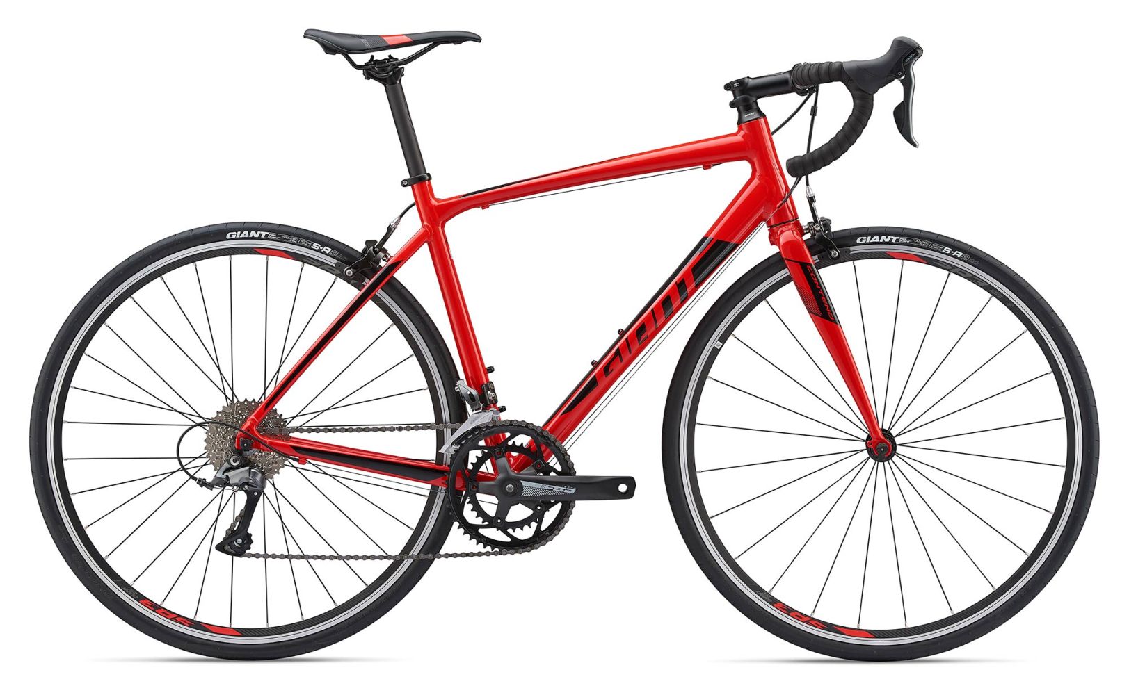 Giant Contend 1 2019