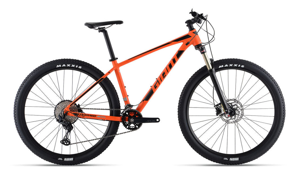 Giant Terrago 29 1 2020