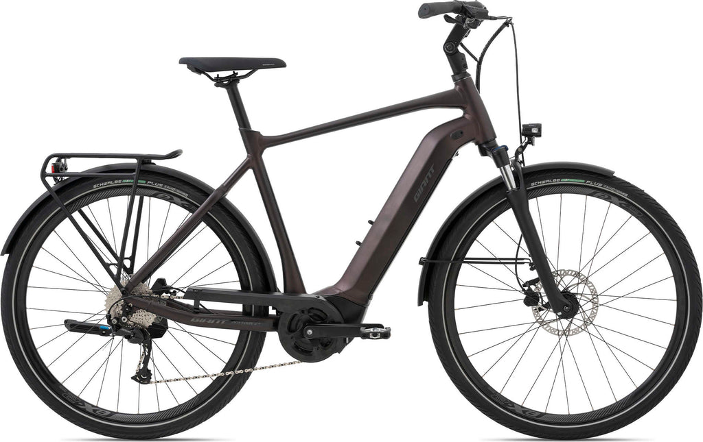 Giant AnyTour E+ 3 GTS 2021