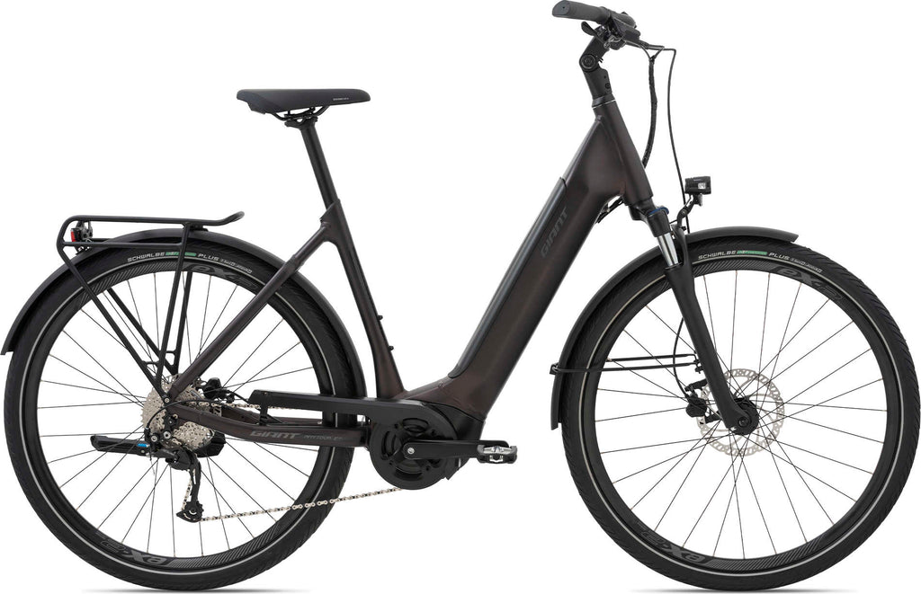 Giant AnyTour E+ 3 GTS 2021