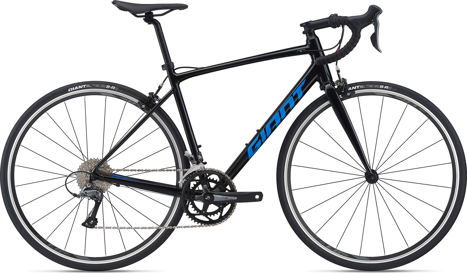 Giant Contend 1 2021