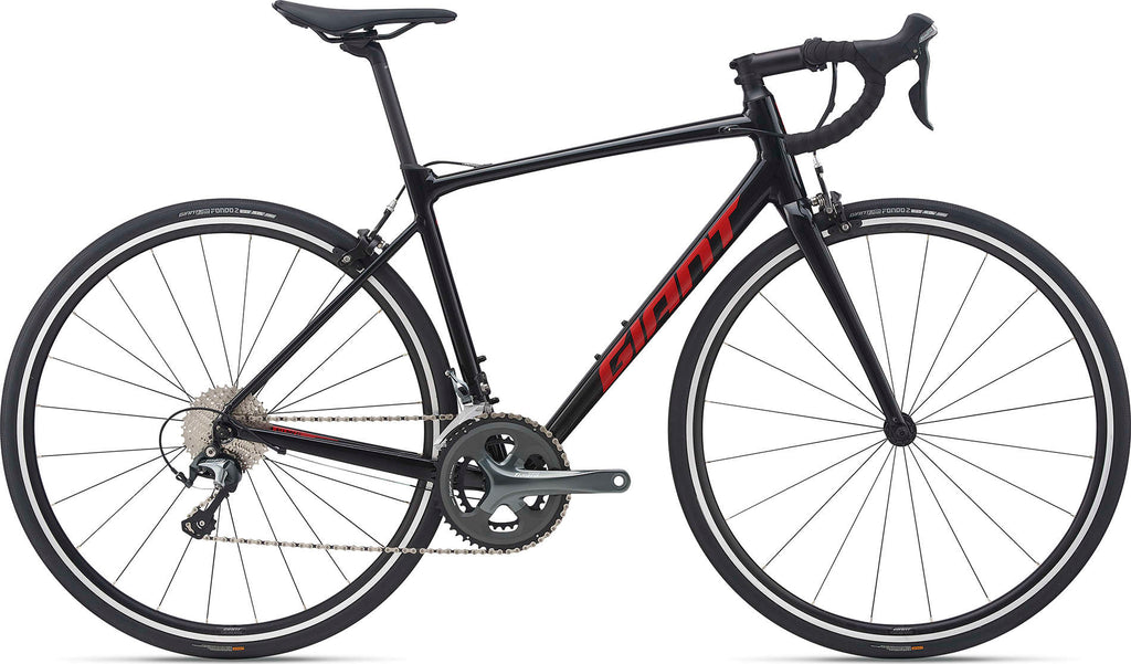 Giant Contend 1 2021