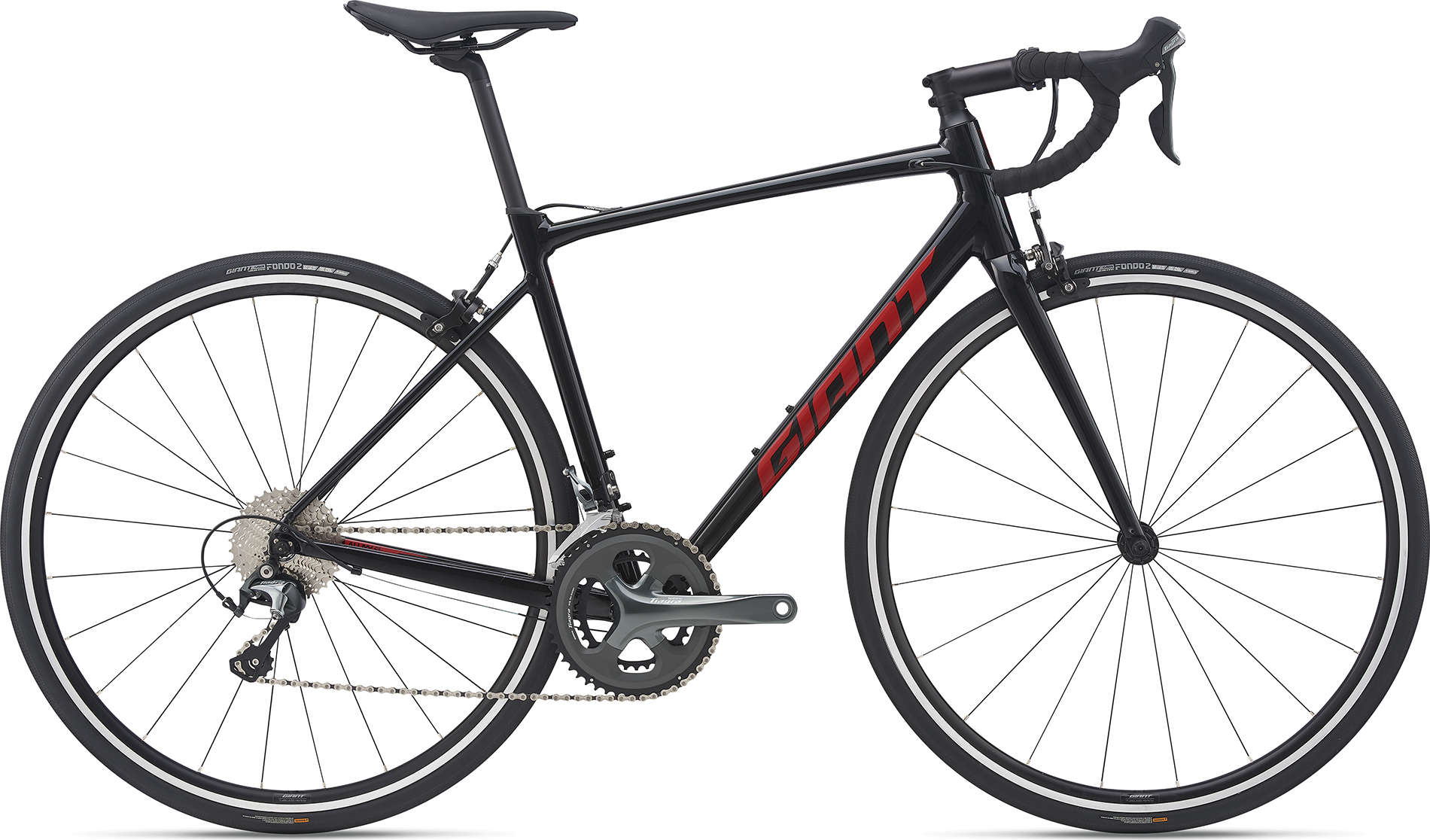 Giant Contend 1 2021