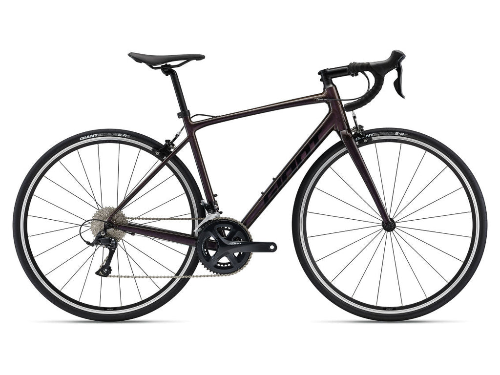 Giant Contend 0 2022