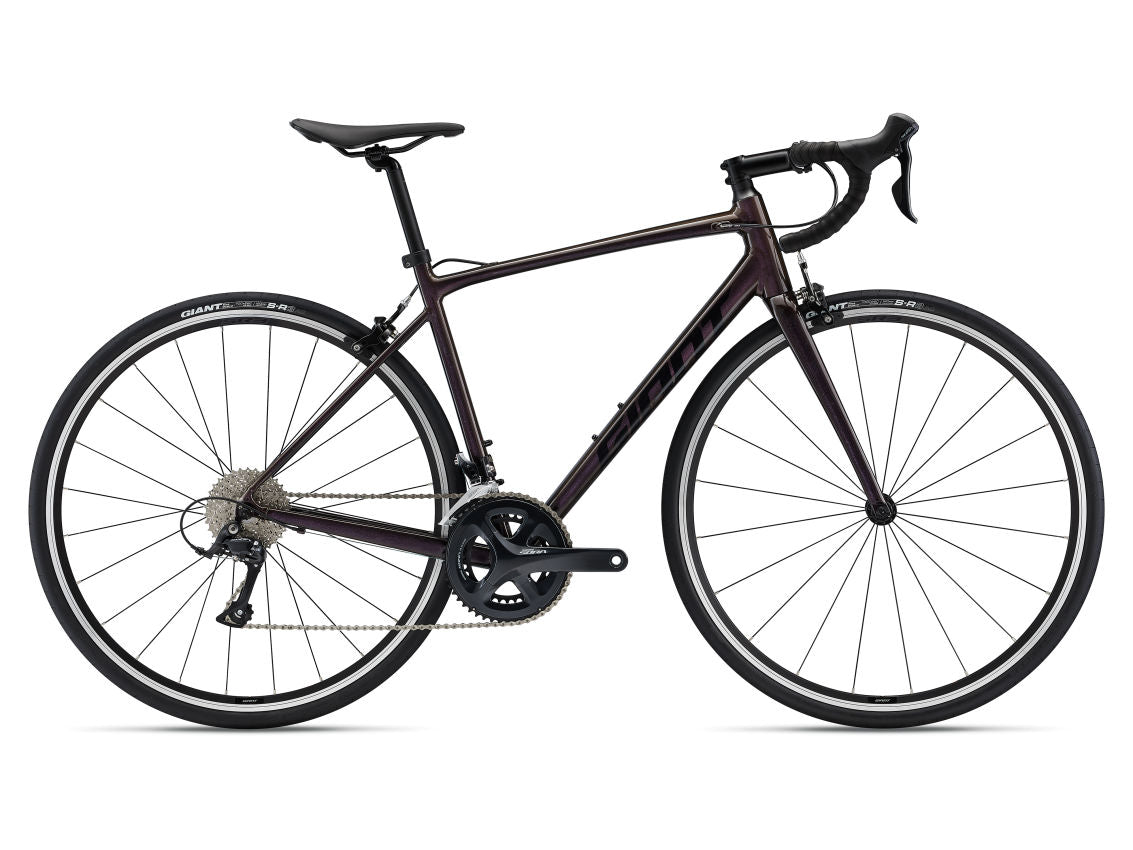 Giant Contend 0 2022
