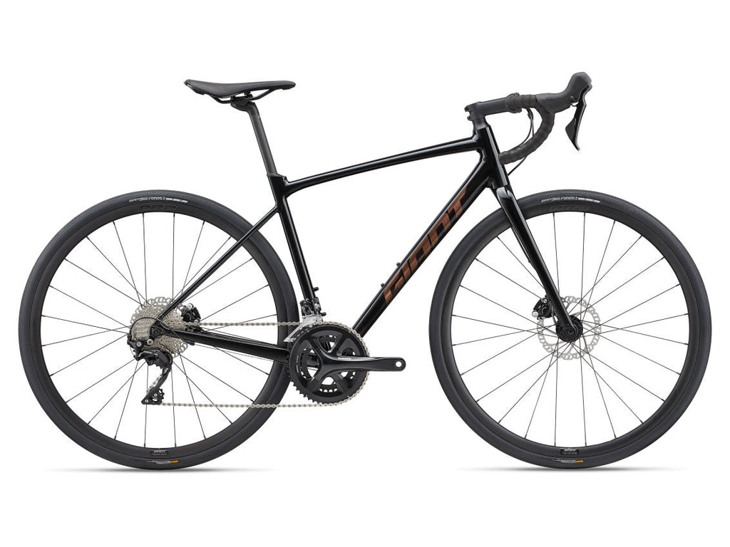 Giant Contend AR 1 2022