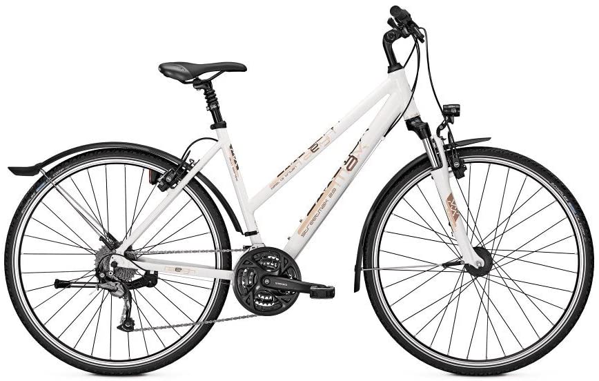 Raleigh Streetmax 2016