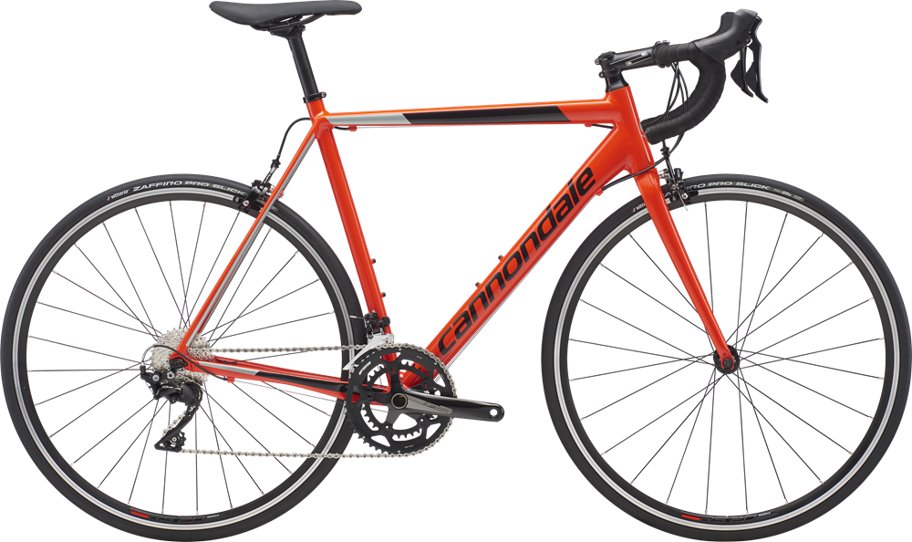 Cannondale CAAD Optimo 2019