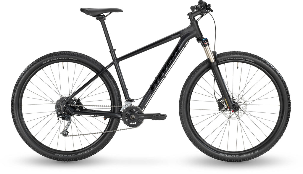 Stevens Taniwha 2020