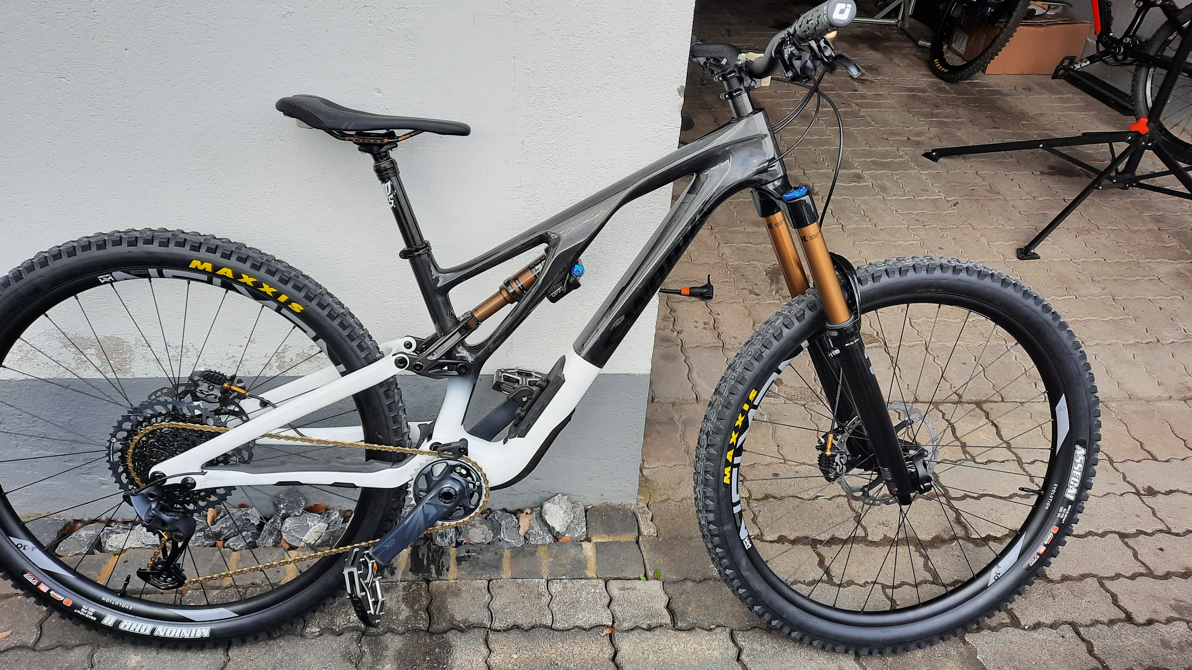 Stumpjumper Evo 2021
