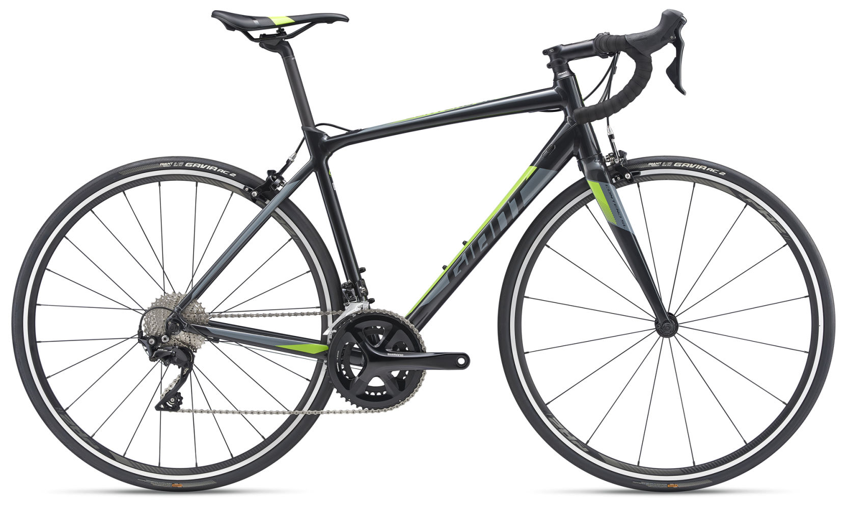 Contend SL 1 + 2  2019