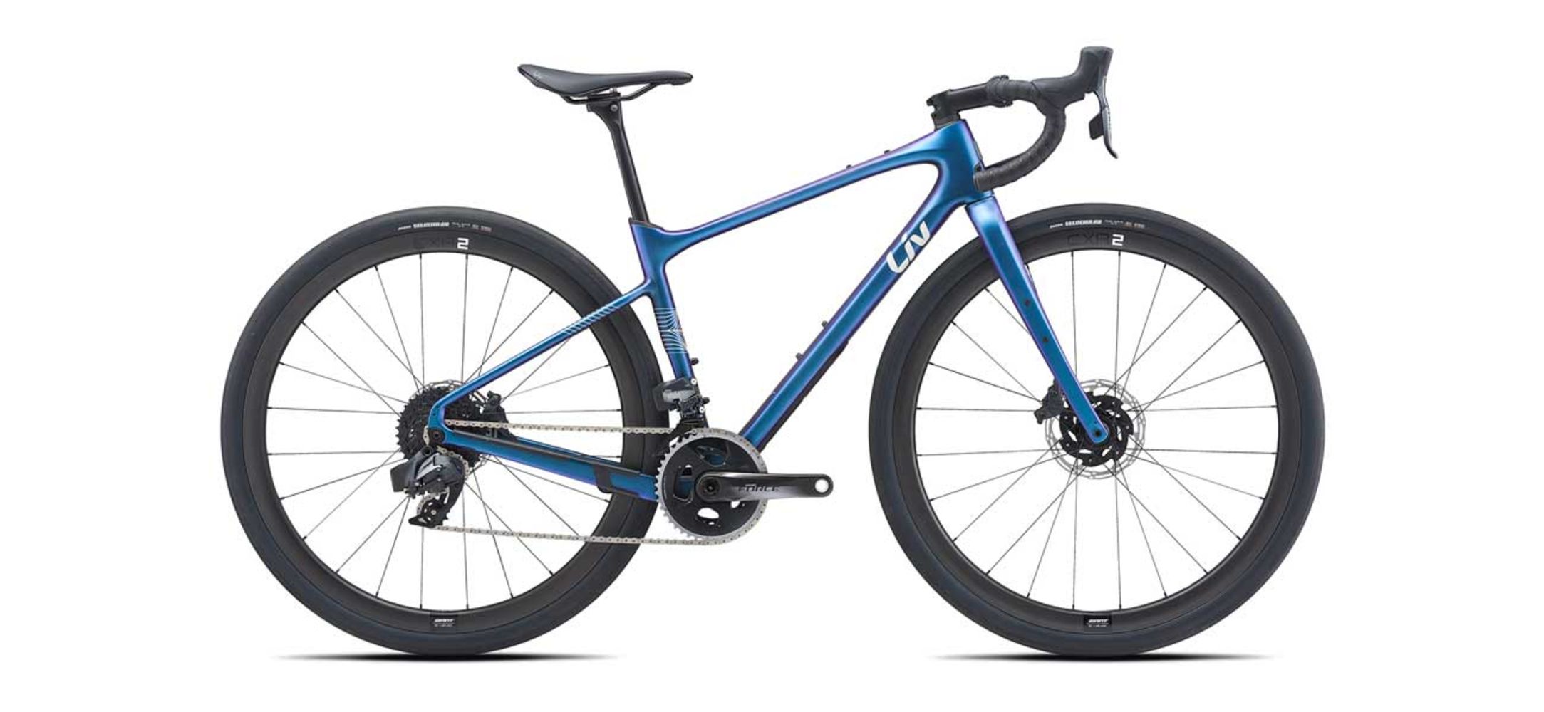 Devote Advanced 2021